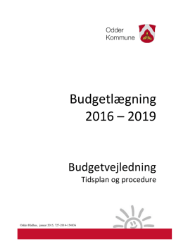 Budgetvejledning 2016