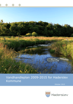 Vandhandleplan 2009-2015 for Haderslev Kommune