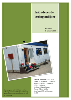 Inkluderende læringsmiljøer