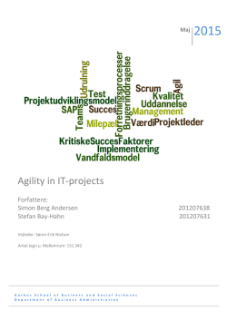 Agility in IT-projects