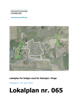 FORSLAG - Lokalplan nr. 065, for boligområde i Vinge - 16-12-2009
