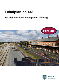 Lokalplan nr. 441 - Viborg Kommune