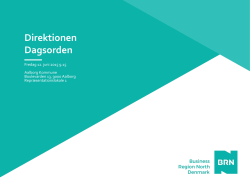 Direktion 12-06-2015 - Business Region North Denmark