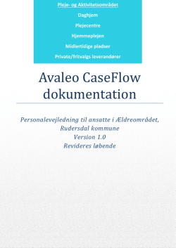 Avaleo CaseFlow dokumentation