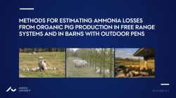 methods for estimating ammonia losses from organic pig production