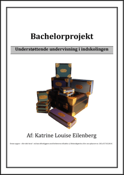 Bachelorprojekt Katrine Louise Eilenberg 2015