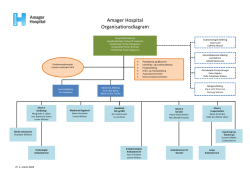 Amager Hospital Organisationsdiagram