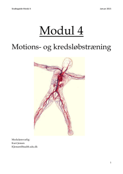 Studieguide - modul 4
