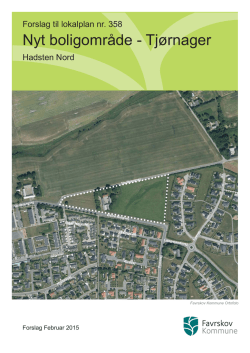 Lokalplan nr. 358 Tjørnager i Hadsten Nord.indd - 16-12-2009