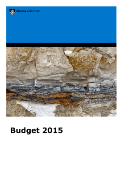 Budget 2015 - Stevns Kommune