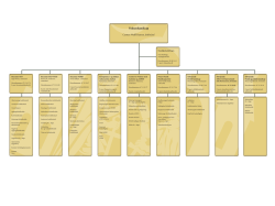 Organisationsdiagram Voksenhandicap (pdf 421 KB)
