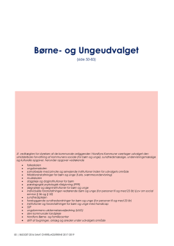 Børne- og Ungeudvalget