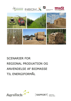 Scenarier for regional produktion og anvendelse af biomasse til