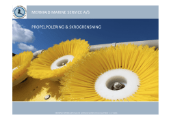 Maermaid Marine Service_Produkt Brochure_DK.pptx