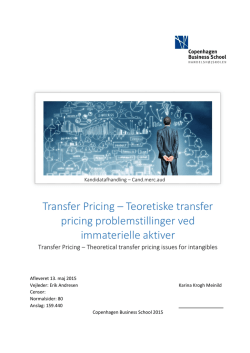 Transfer Pricing – Teoretiske transfer pricing problemstillinger ved