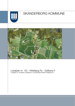 Lokalplan 133 - Kildebjerg Ry