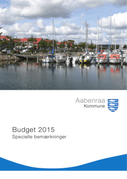 Budget 2015 – 2018 Økonomiudvalget