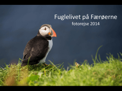 Fuglelivet p&aring; F&aelig;r&oslash;erne, foto-serie, v/Amdi og Bente Nedergaard
