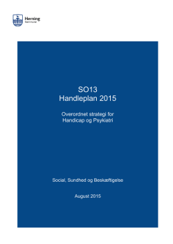 Handleplan 2015 - udgave 11. aug - Politik