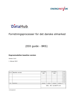 Forretningsprocesser for det danske elmarked (EDI