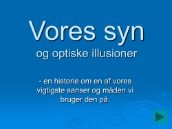 Vores syn (powerpoint)