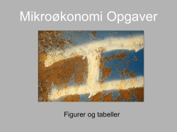 Mikroøkonomi Opgaver