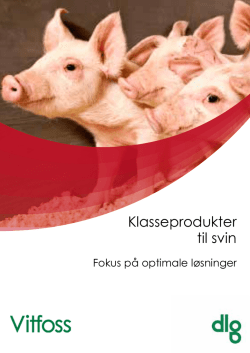 Klasseprodukter til svin