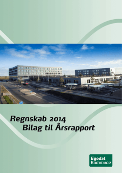 Bilag 2014 - Regnskab 2014