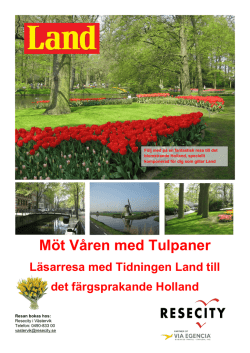Möt Våren med Tulpaner