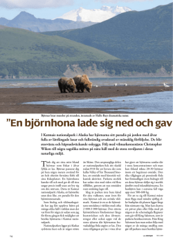 Artikel publicerad i Svenska Rovdjursföreningens tidning