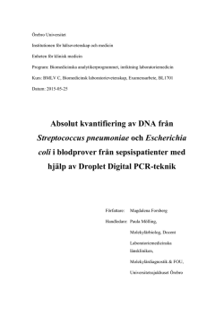 Absolut kvantifiering av DNA från Streptococcus pneumoniae och