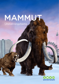Fakta om Mammut
