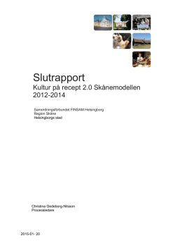 Slutrapport - Finsam Helsingborg