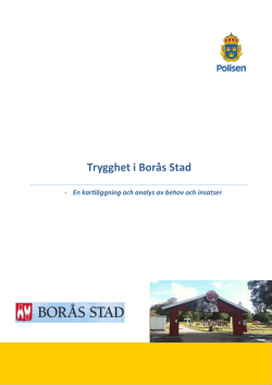 Analysrapport Borås