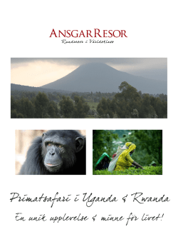 Primatsafari i Uganda & Rwanda