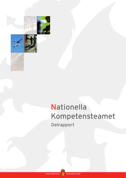 Delrapport - Nationella kompetensteamet