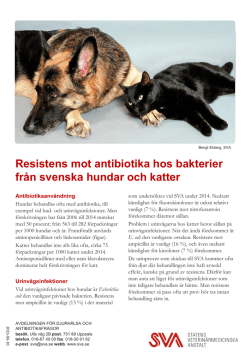 Antibiotikaresistens Hund och Katt 2014
