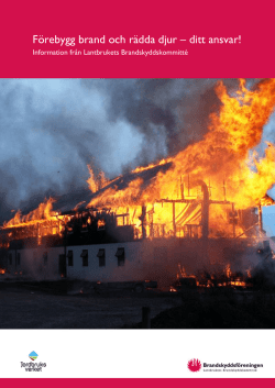 Brandskydd - Ditt ansvar 2015 augusti