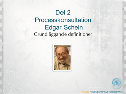 Del 2 Processkonsultation Edgar Schein