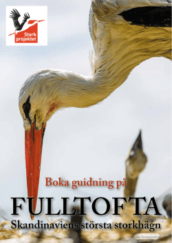 FULLTOFTA - Storkprojektet