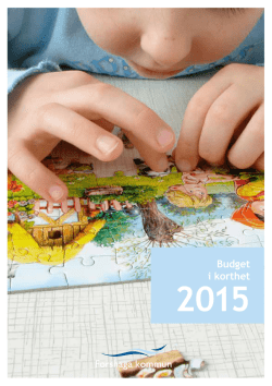 Budget i korthet 2015