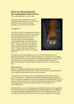 Short Toe - Svenska Staffordshire Bull Terrier Klubben