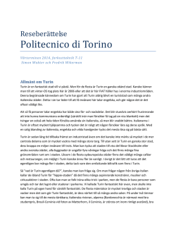 Politecnico di Torino Vt2014 (pdf 128 kB)