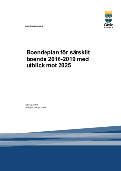 Boendeplan för särskilt boende 2016-2019 med