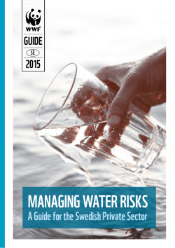 MANAGING WATER RISKS