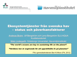 Ekosystemtjänster från svenska hav – status och påverkansfaktorer