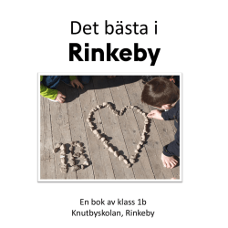Det bästa i Rinkeby(3 MB, pdf)