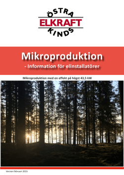 Mikroproduktion för elinstallatör