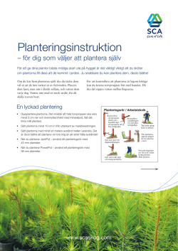 Planteringsinstruktion