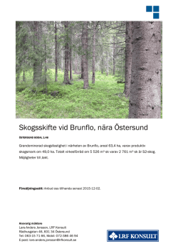 Skogsskifte vid Brunflo, nära Östersund
